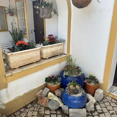 Casa Tranquility With Beautiful Pool And Jacuzzi! Villa