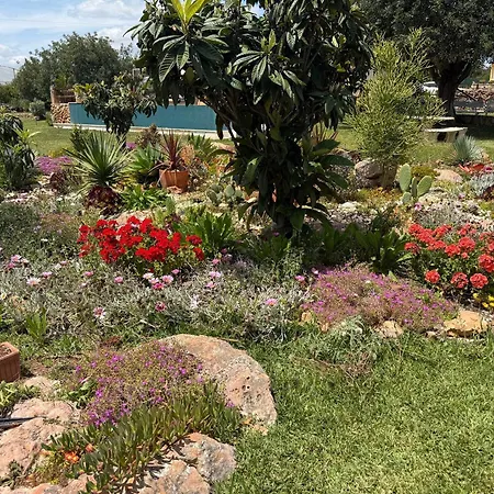 Villa Casa Tranquility With Beautiful Heated Pool And Jacuzzi!