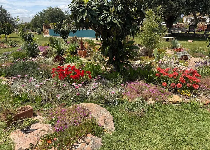 ヴィラ Casa Tranquility With Beautiful Heated Pool And Jacuzzi!